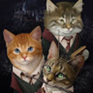 Meet your Posher, Izabella